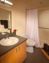 The New Shirley Bathroom